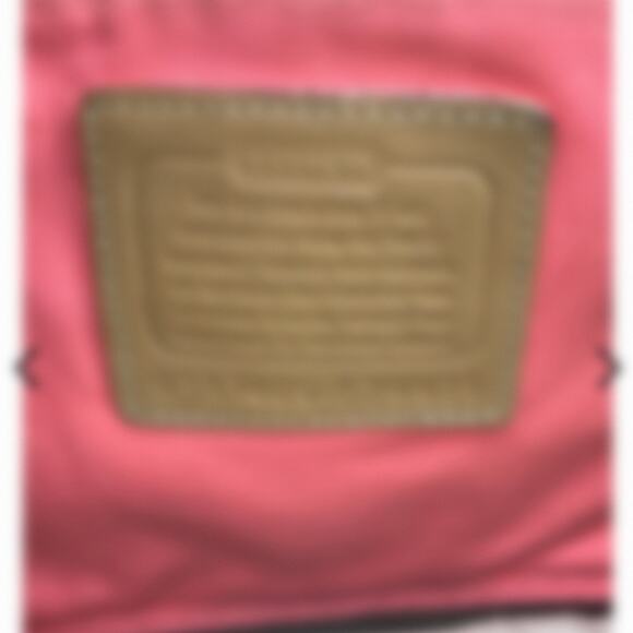 COACH GUC HADLEY STRIPED CANVAS LARGE TOTE BAG - Picture 5 of 8